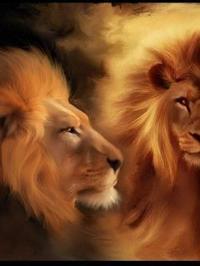 Анатолий Токинов