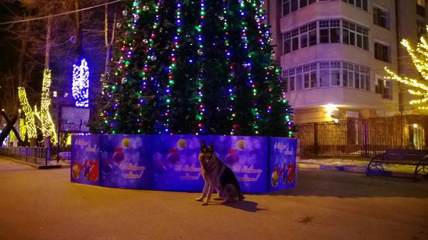 Наталья Романова