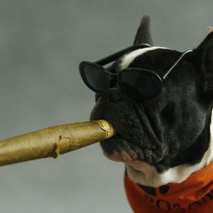 Сергей Конотоп