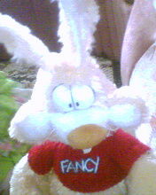 Оля Ефремова