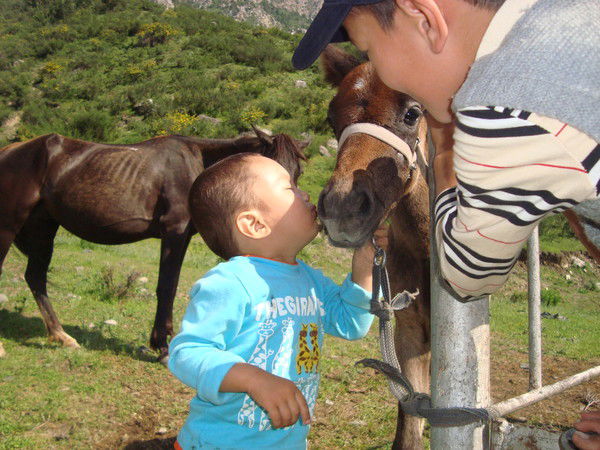 Клара Абдуллаева