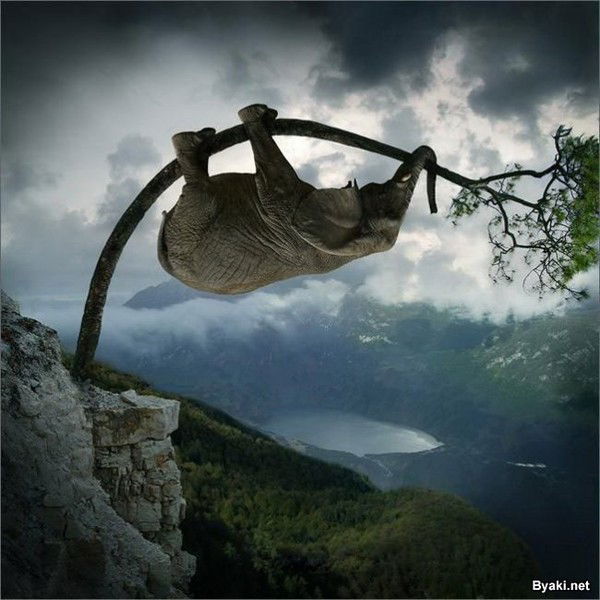 Лариса Становова