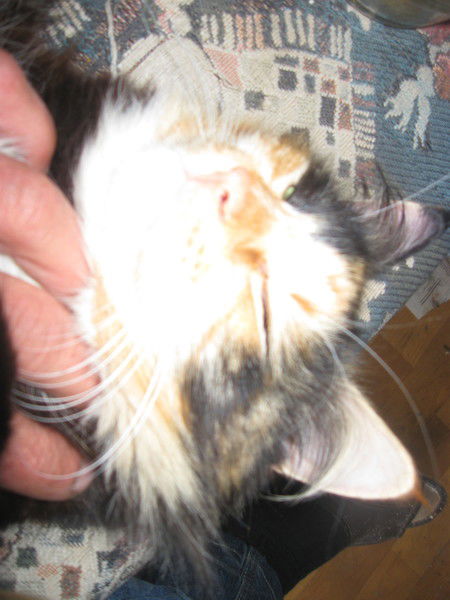 Nadezhda_Yamayki Chayfoff