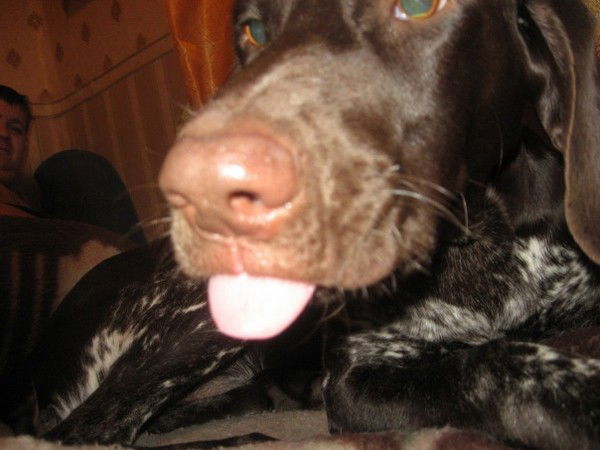 Виктор Соломыкин