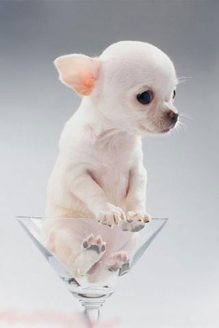 Зимняя Снегурка