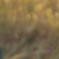 Александр Савичев