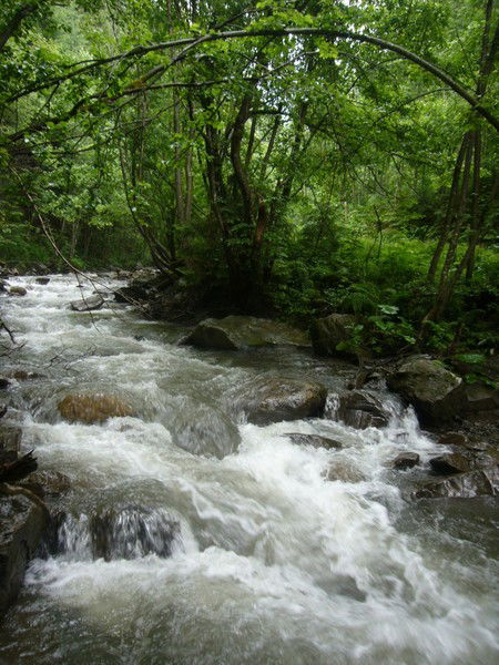 Раисат Гайдарбекова