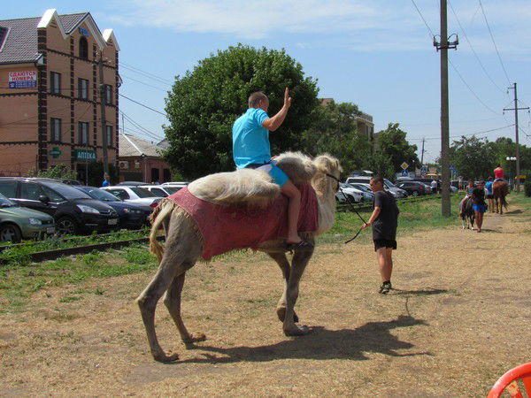 Вячеслав Кочешков