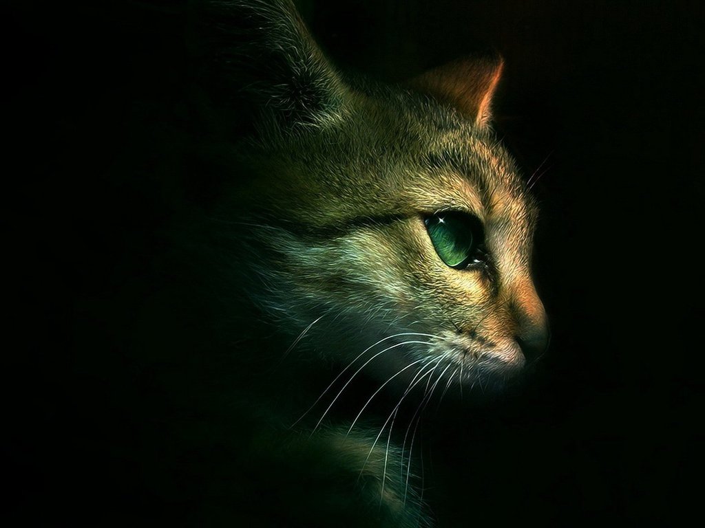 Яна Цветкова