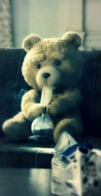 Андрей Сапегин