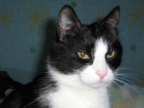 Екатерина Крынкина