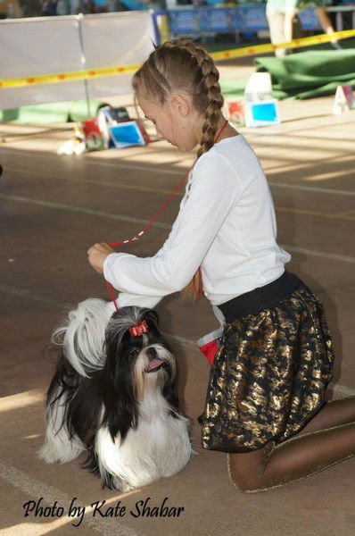 Ангелина Аниперова