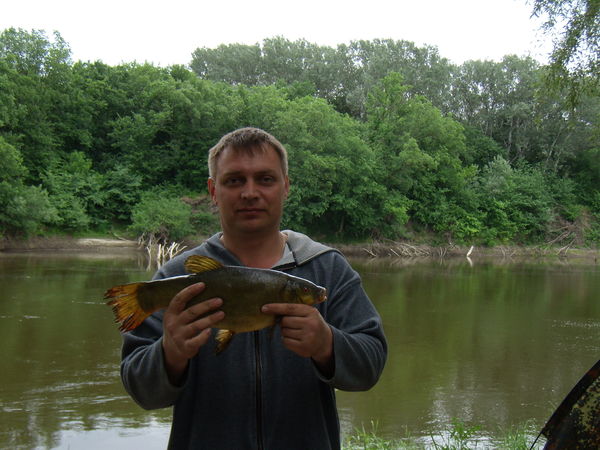 Виталий Суворов