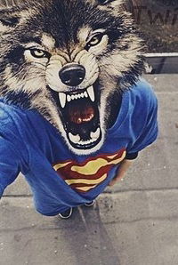 Елизавета Андриенко