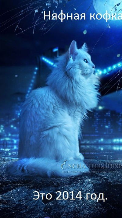 Мария Улькина