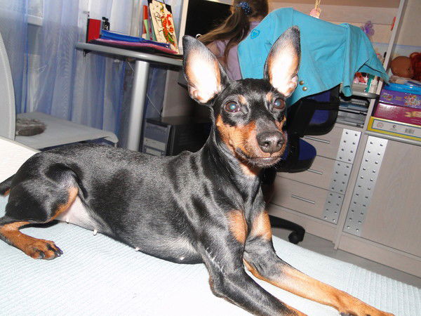 Андрей Сигарев