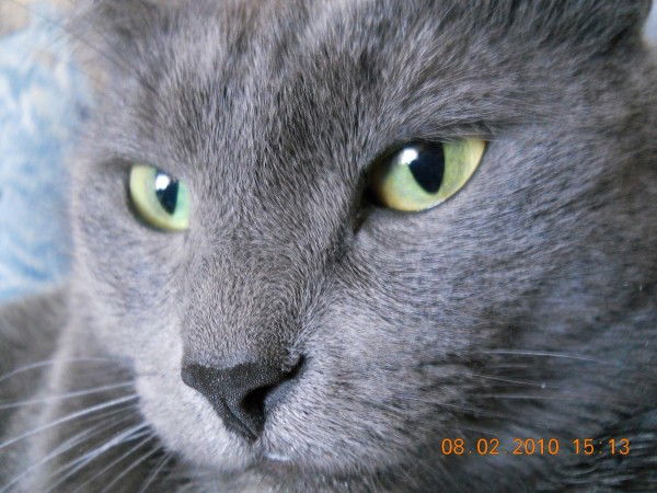 Лилия Брыткова