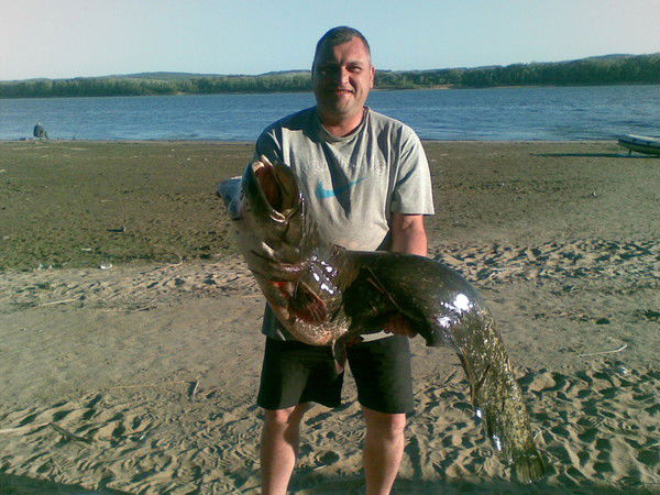 Александр Пчелинцев