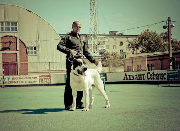 Юрий Натчук