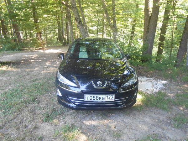 Артем Елизаров