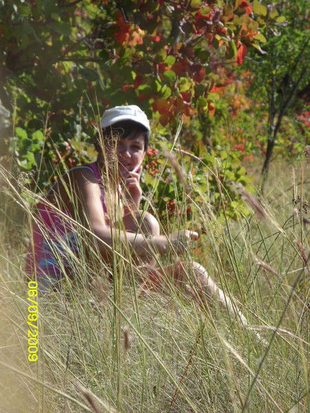 Светлана Корецкая