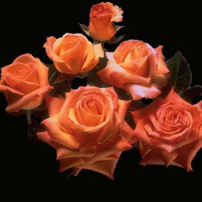 Осакаровка Узпп