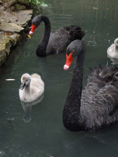 Корсунова Татьяна