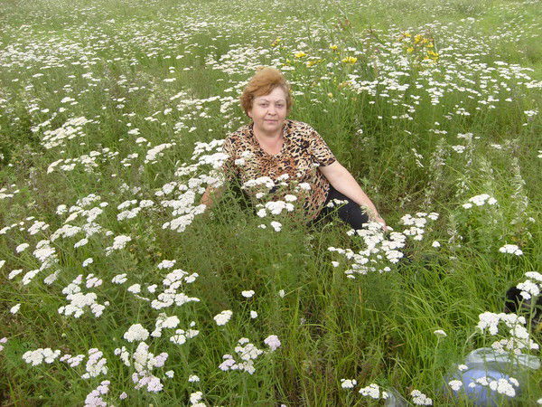 Любовь Дроздова