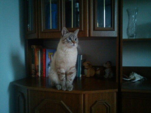 Оксана Осюрак