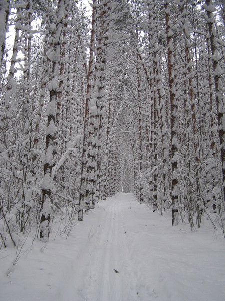 Марина Карезина