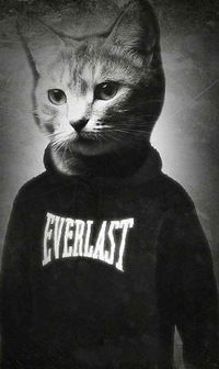 Даниил Белов