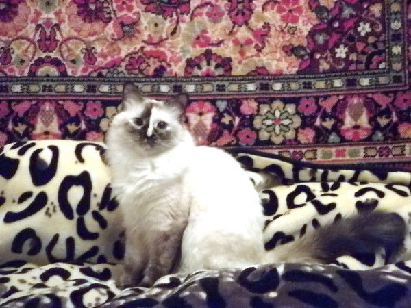 Ольга Мартынова