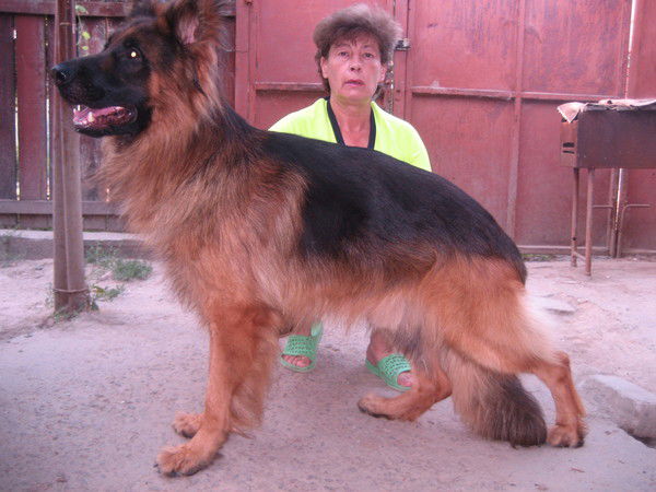 Ирина Гренюк