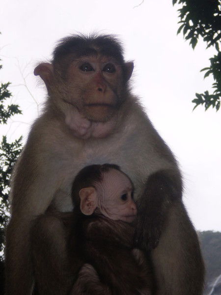 Иван Иванов