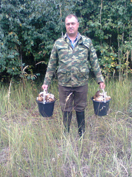 Александр Гудовский