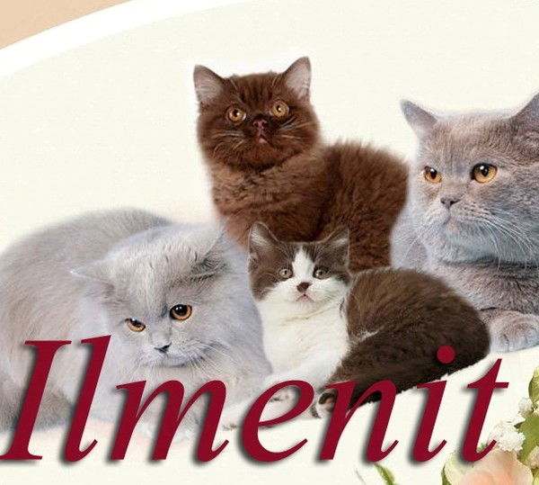 Bella Бородина