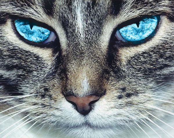 Юля Кудрявцева