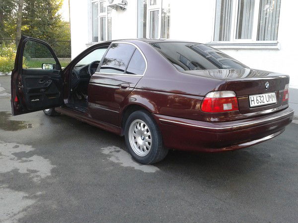 Жалайыр Казах