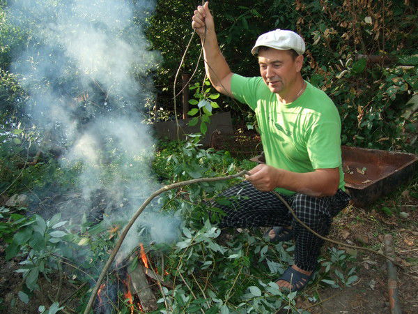 Игорь Журавлев