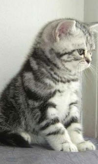 Анастасия Ундалова