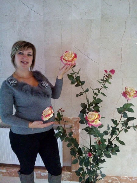 Наташа Герус(Разин)