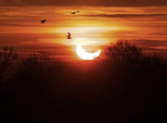 Эдвард Мицкявичус