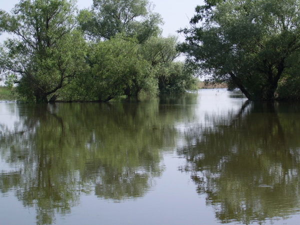 Константин Ившин