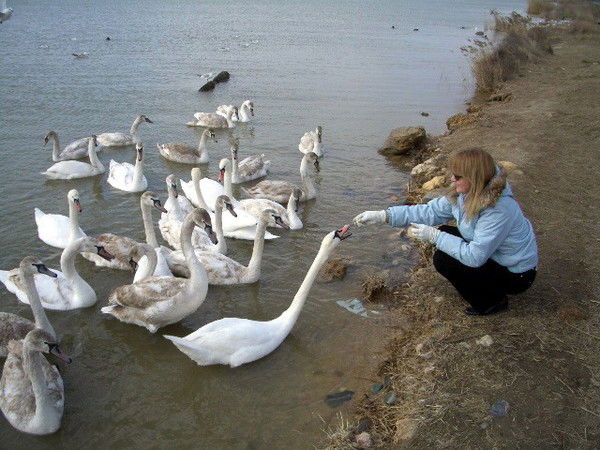 Людмила Байгушова