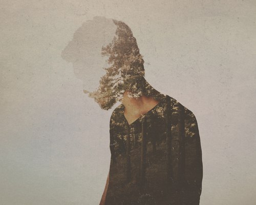 Алина Гаджирамазанова