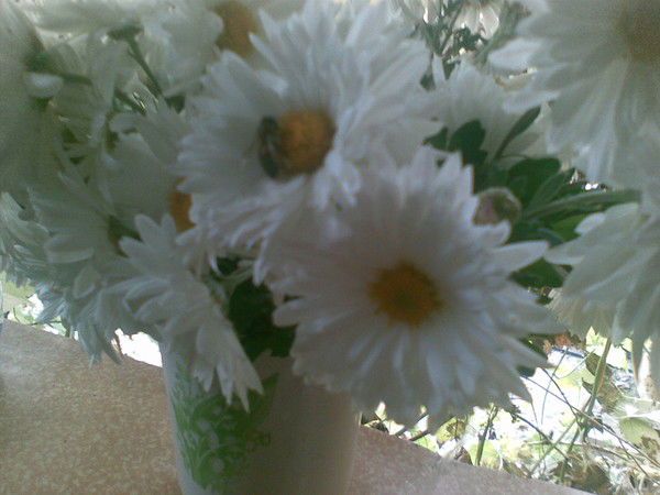 Ольга Копарева