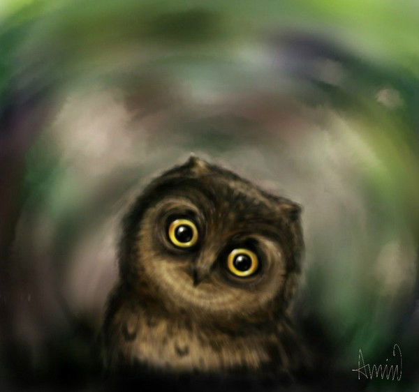 Родион Хохлооф