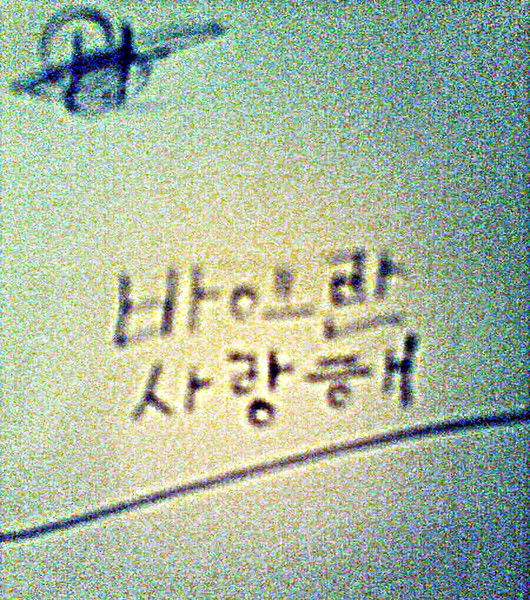 I Love You And I Will Wait