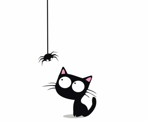 Канат И Самал Умбеталиевы