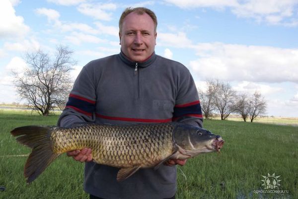 Алексей Ворожбитов